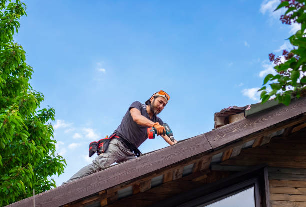 Best Asphalt Shingle Roofing  in Clifton, NJ